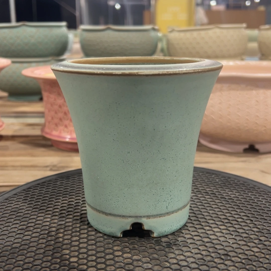 大盆0828-011D安娜外口13cm
