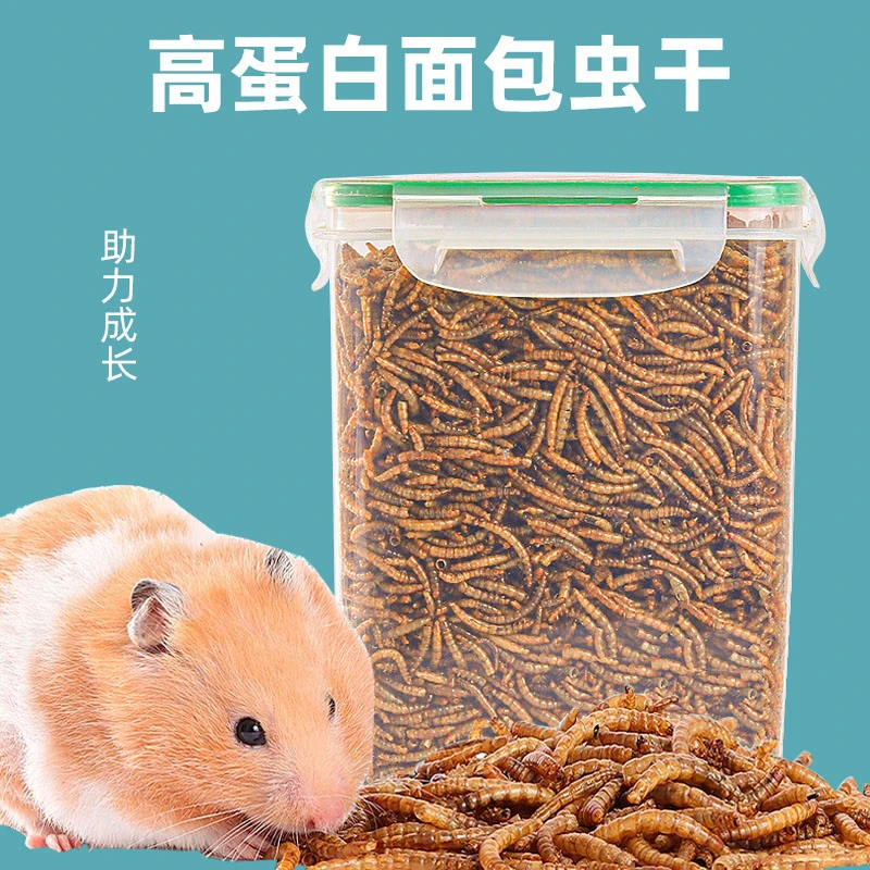 仓鼠金丝熊孕期食用优质美味面包虫干丰富的蛋白质营养