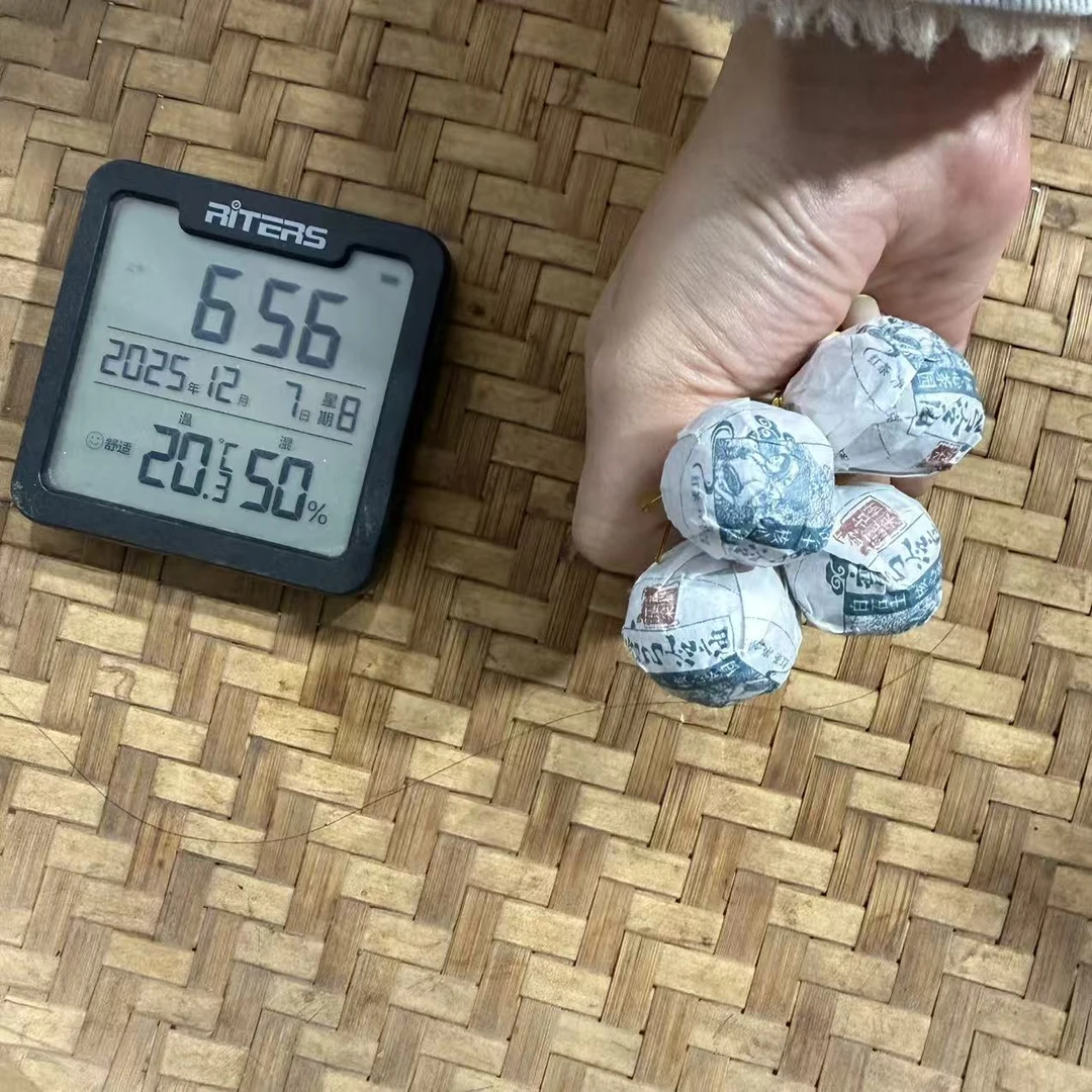 2023年弯弓冷庙白石土核心茶园古树普洱红茶龙珠Y1号12月7日