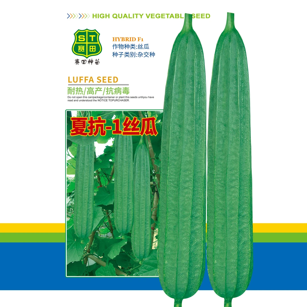 夏抗丝瓜种子，夏种丝，比较耐部分病毒病
