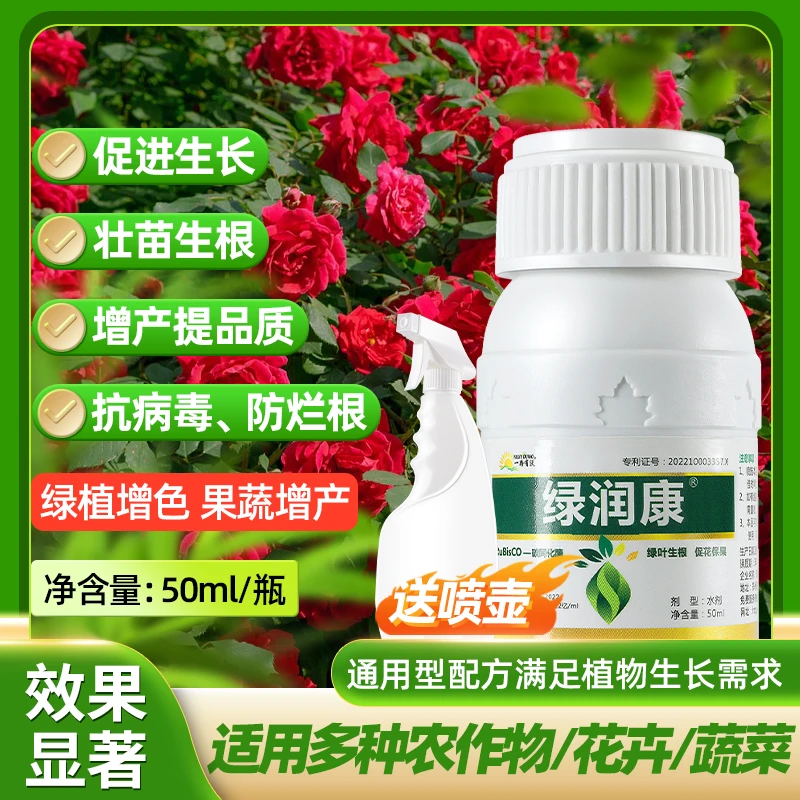 鲜花保鲜剂家用营养液花店专用玫瑰百合花卉通用型插花保鲜延长剂