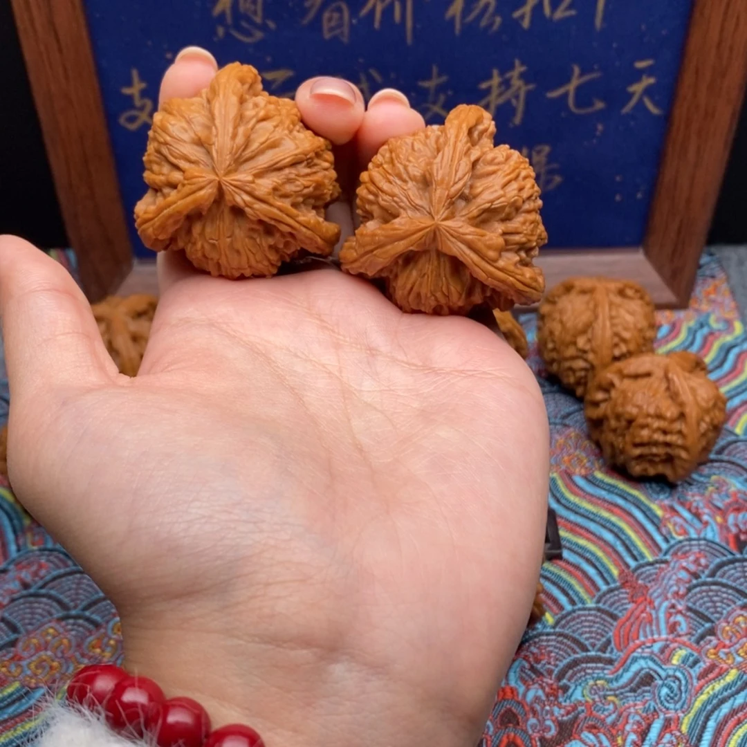 【闪购商品】多***意白狮