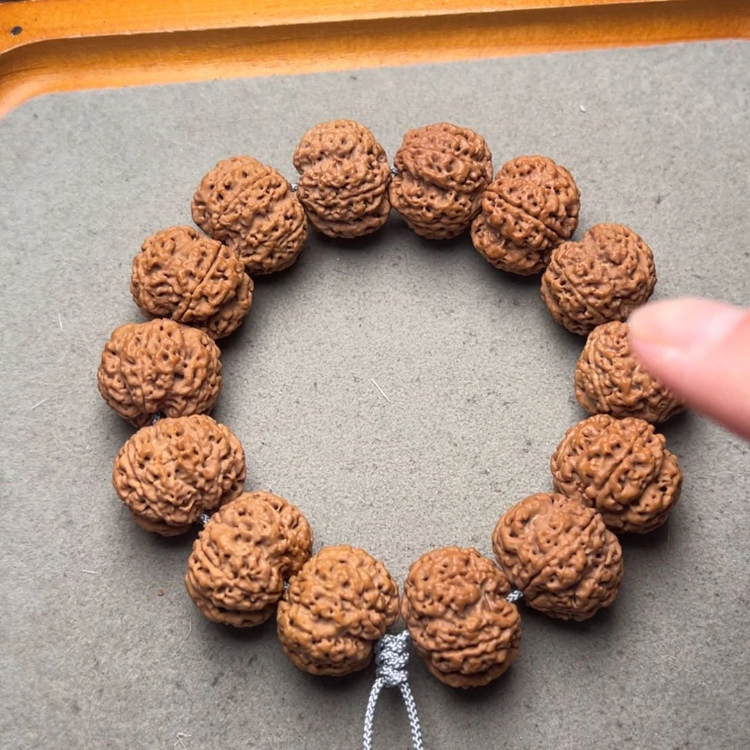 菩提26号金刚菩提古龙梅花23