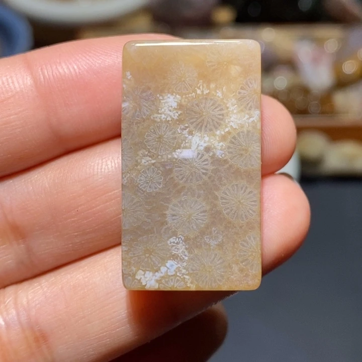【闪购商品】未镶嵌珊瑚玉硅化玉