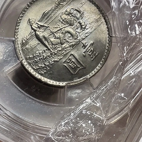其他普通金属粮农单枚评级