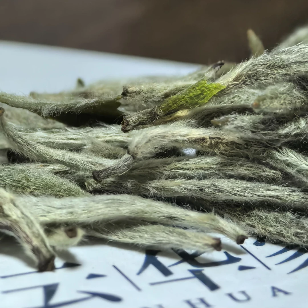 2024福鼎白茶（白毫银针）