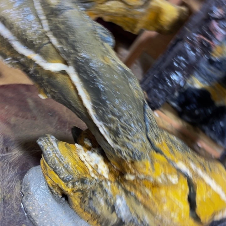冬***者附石盆景一物一拍