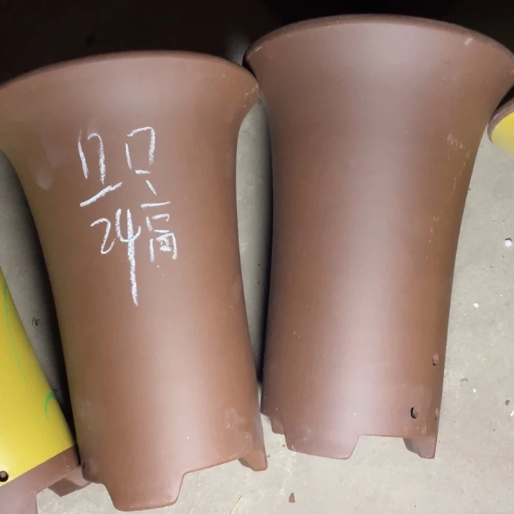 红陶紫砂紫砂紫砂