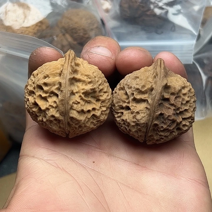 把件文玩核桃66号细密云铁