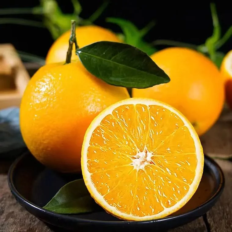 【田园音符】福建漳州脐橙5斤/9斤产地直发新鲜现摘香甜多汁橙子