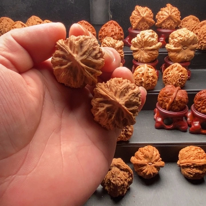 龙脊菩提吊坠全品37苹果