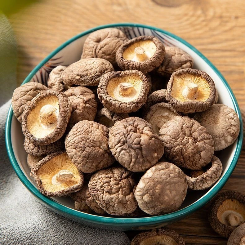 云南深山大野金丝香菇干货农家特产