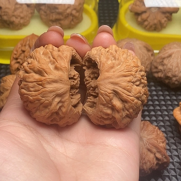 全品聚宝盆
