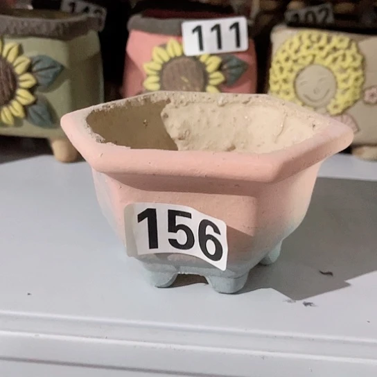 多肉植物花盆花盆