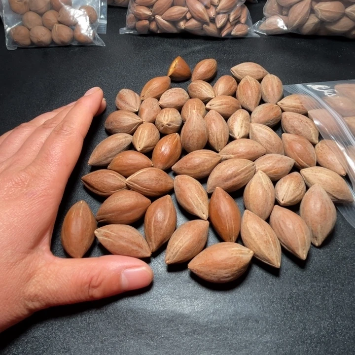 我***良猪牙手串/手链我是