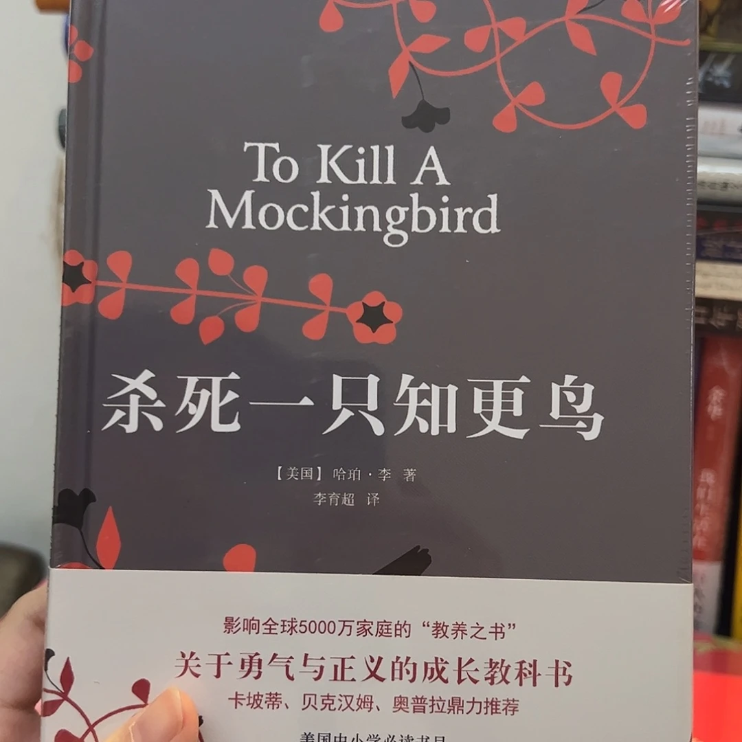 杀死一只知更鸟 精装