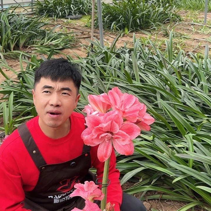 快***营随机基地球一颗，，，，