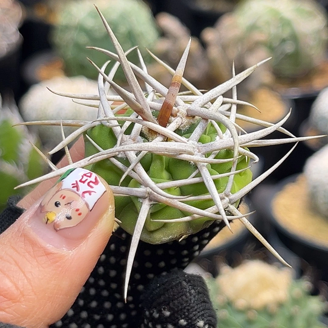 福利Zzzzzzzxzzzzzzzzzzz