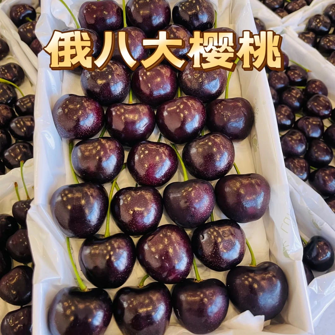 俄罗斯八号大连樱桃现摘国产车厘子纯甜4-6J/斤新鲜水果顺丰空运