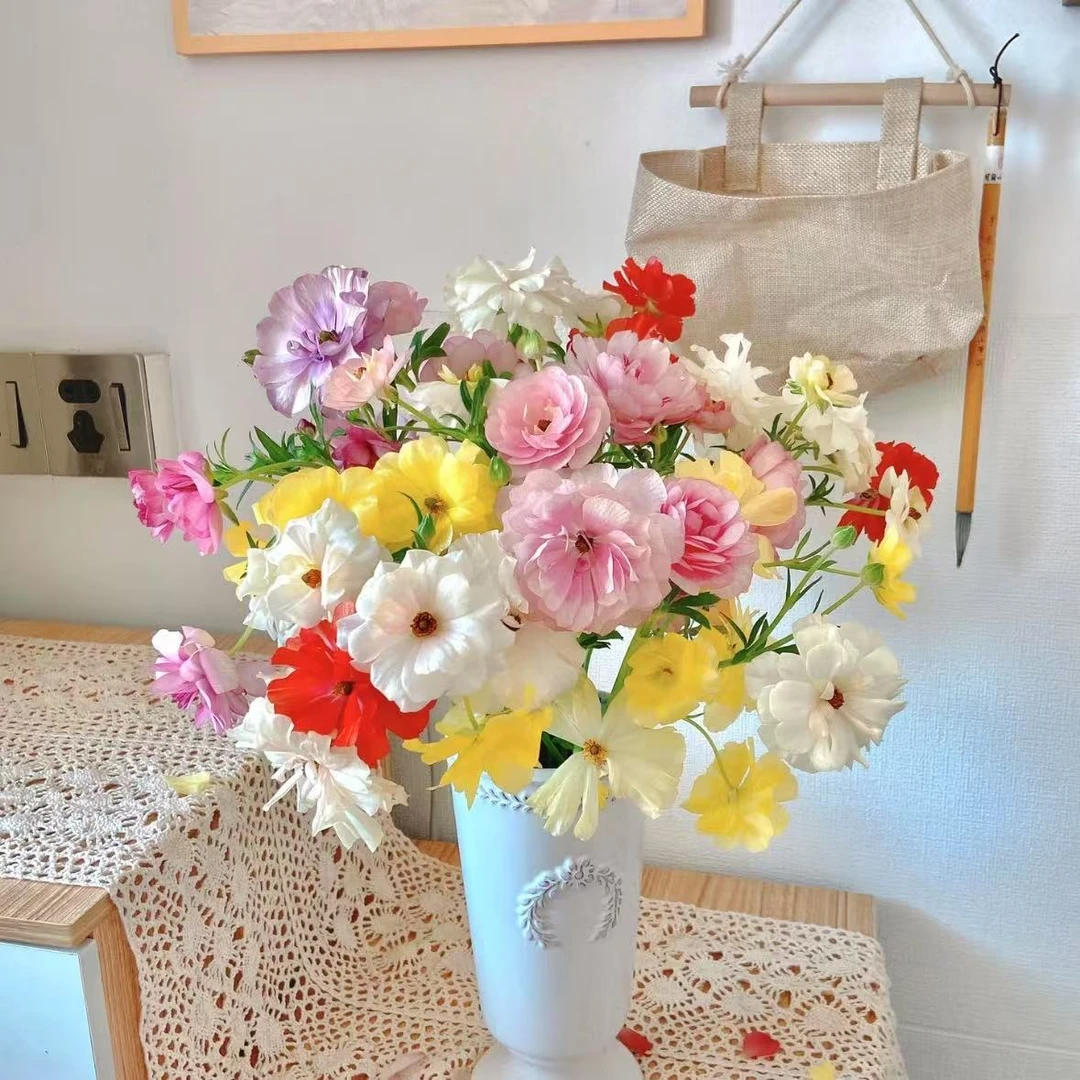 【植迷不误】蝴蝶洋牡丹 高端鲜切花插花 云南鲜花基地包邮直发