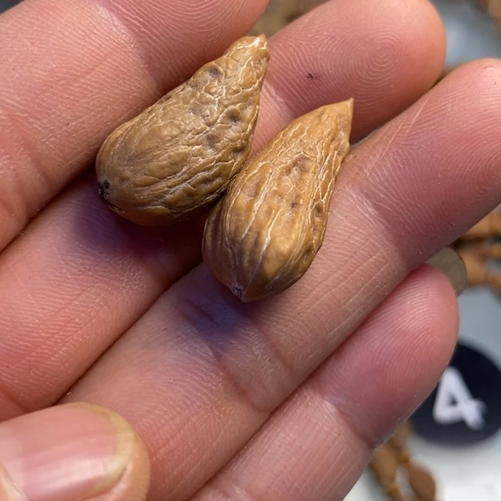 文玩核桃吊坠拿姐工艺88