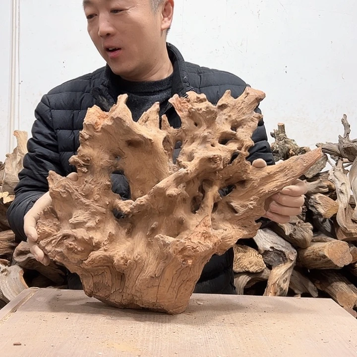 柏木虎**.我们的生活也是如此的