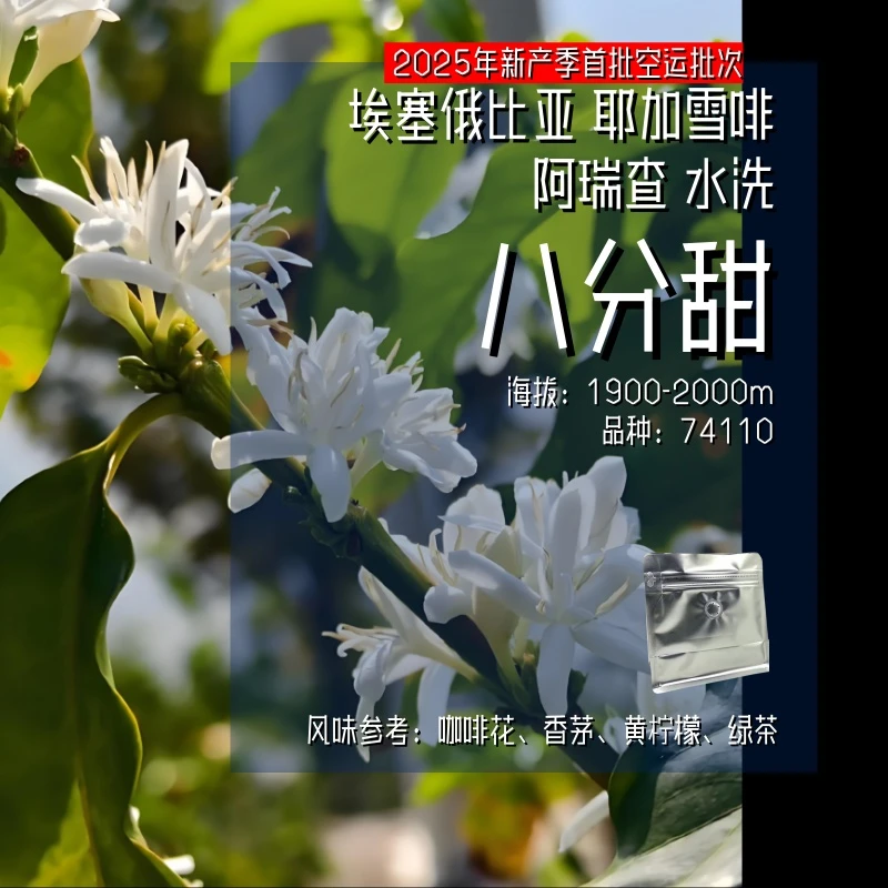 <25产季空运批次>埃塞尔比亚,耶加雪啡,水洗,八分甜,精品咖啡豆
