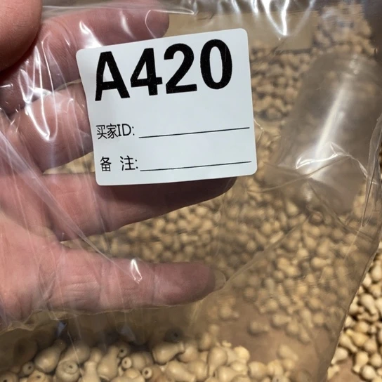 大果紫檀（缅甸花梨）420