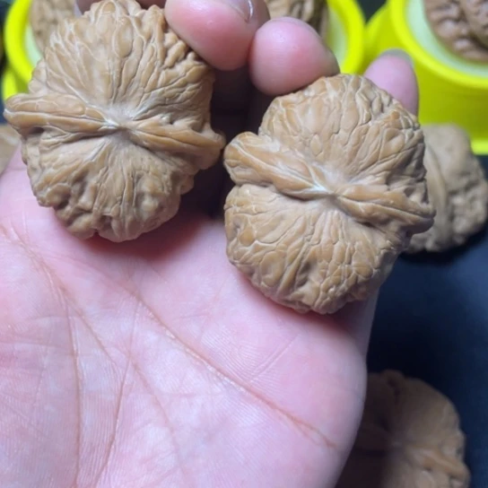 大叶紫檀（黑酸枝木类）