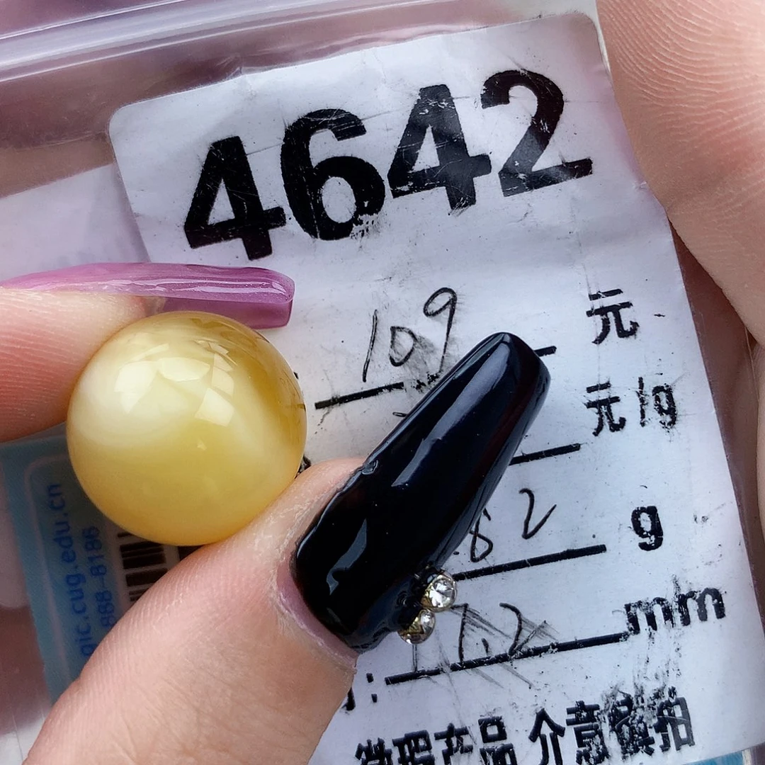 琥珀未镶嵌珠宝奇石17.2植物