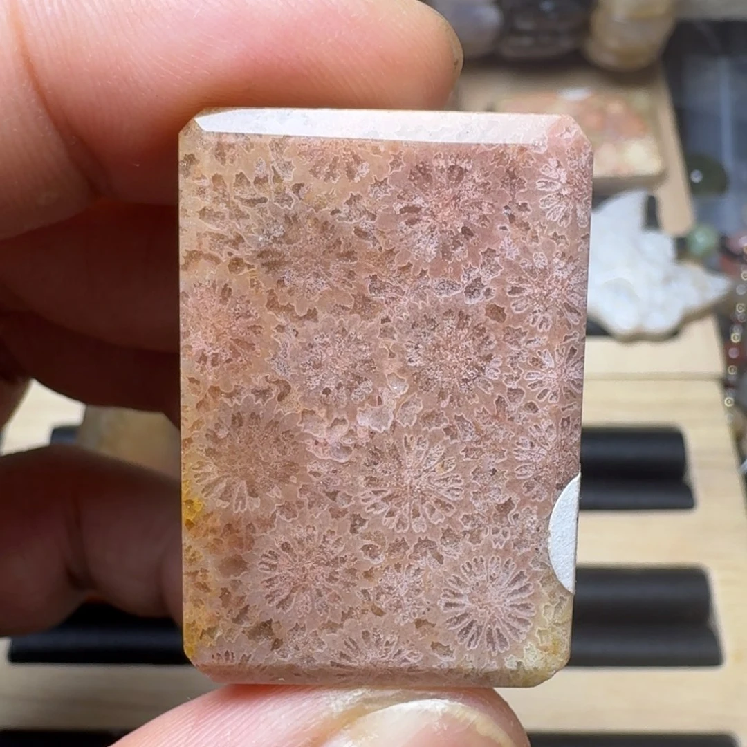 未镶嵌纯天然色有机玉石保真色硅化玉