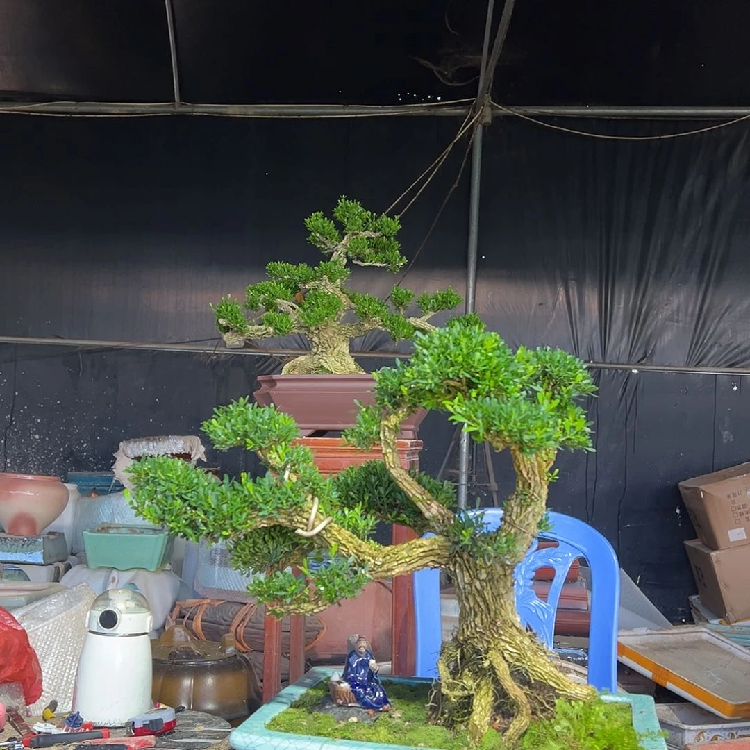 琉璃手工艺品黄杨盆景
