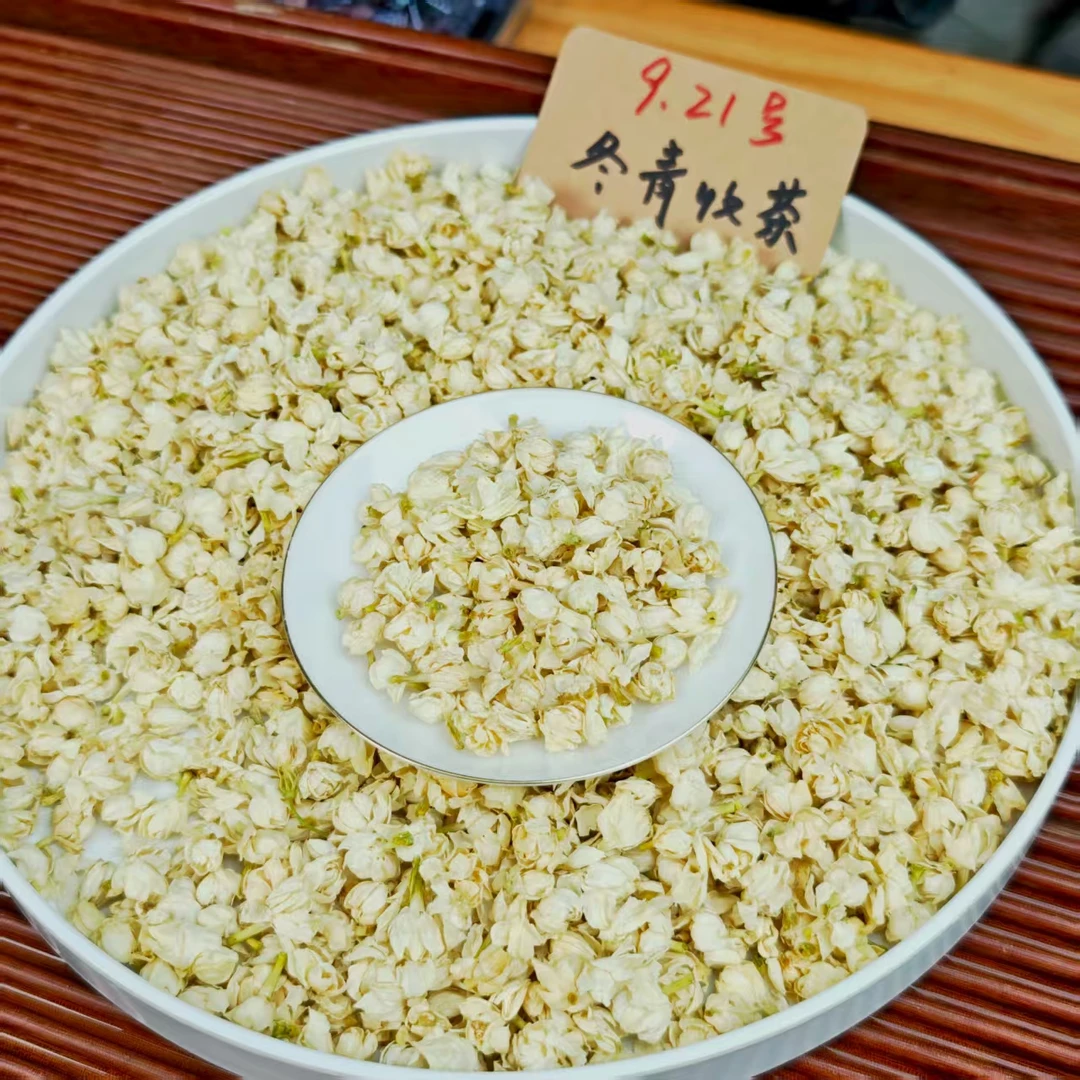 2025头茬茉莉雪球 鲜甜甘爽 广西横县双瓣茉莉 无梗无硫冬青收茶