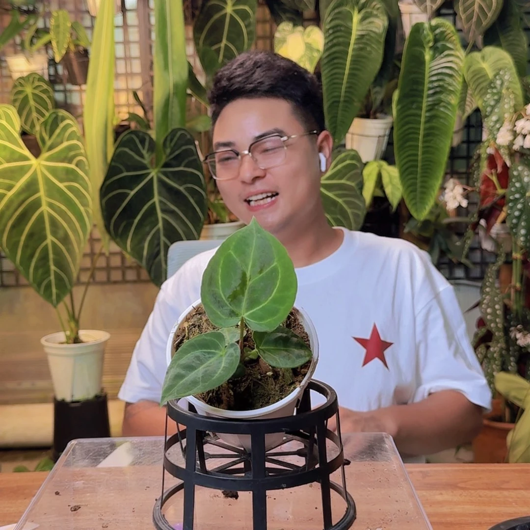 M***Z完全开放一物一拍V186