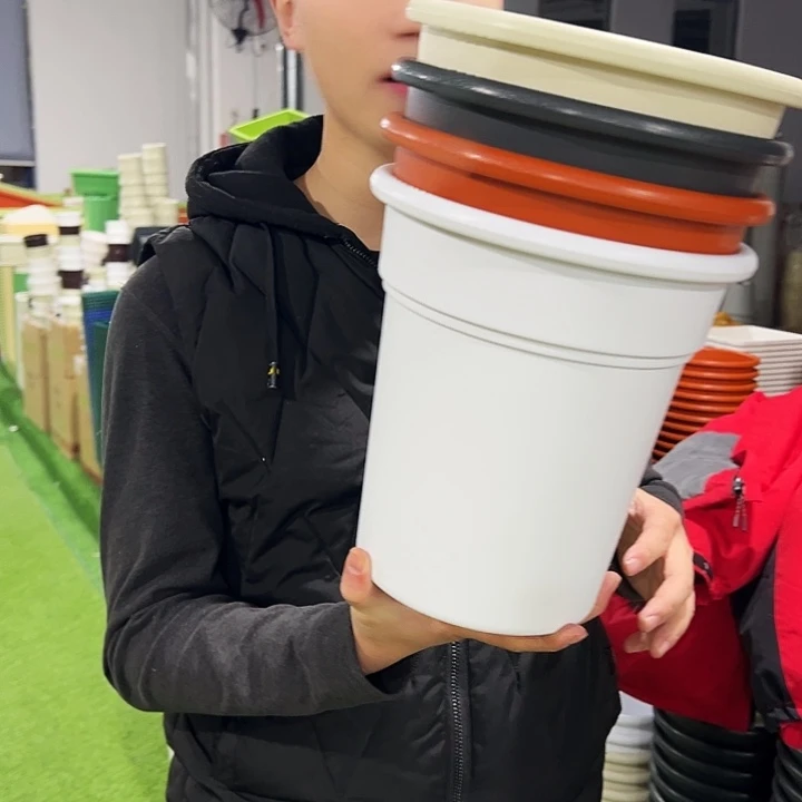 正品翻边口23高25白色5只无托