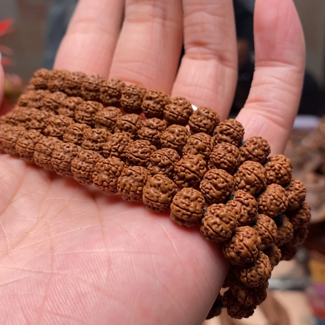 一***秋菩提籽类老树梅花