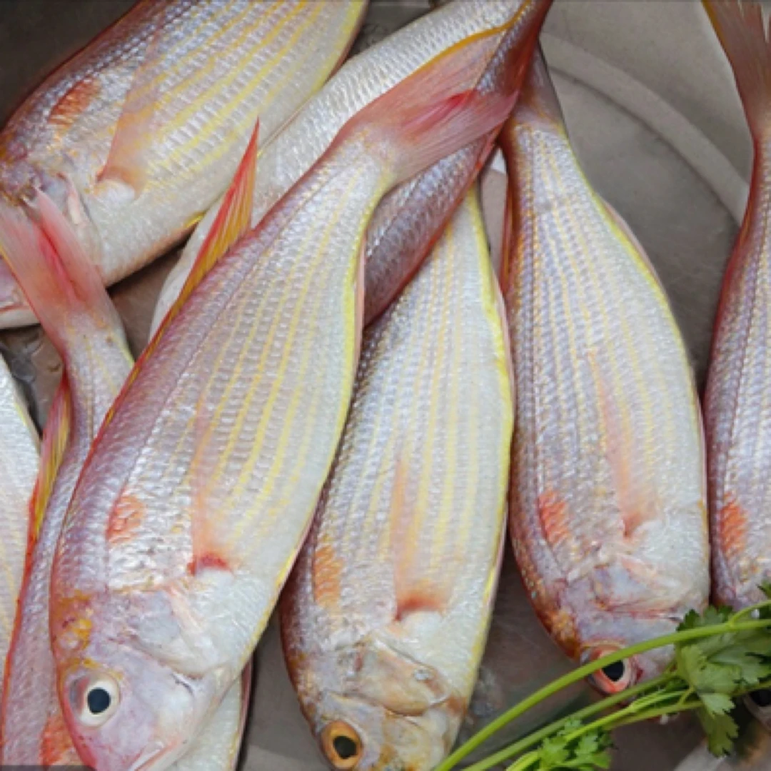 小竹排 红杉鱼 新鲜香煎 5斤省内包邮