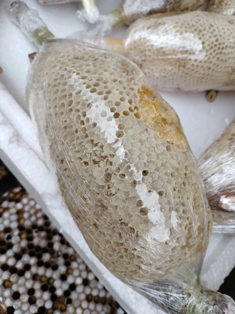 云南普洱哀牢山深山老林野生挂蜜