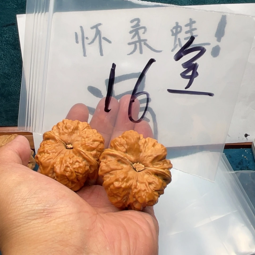 5 775757535577 337537537