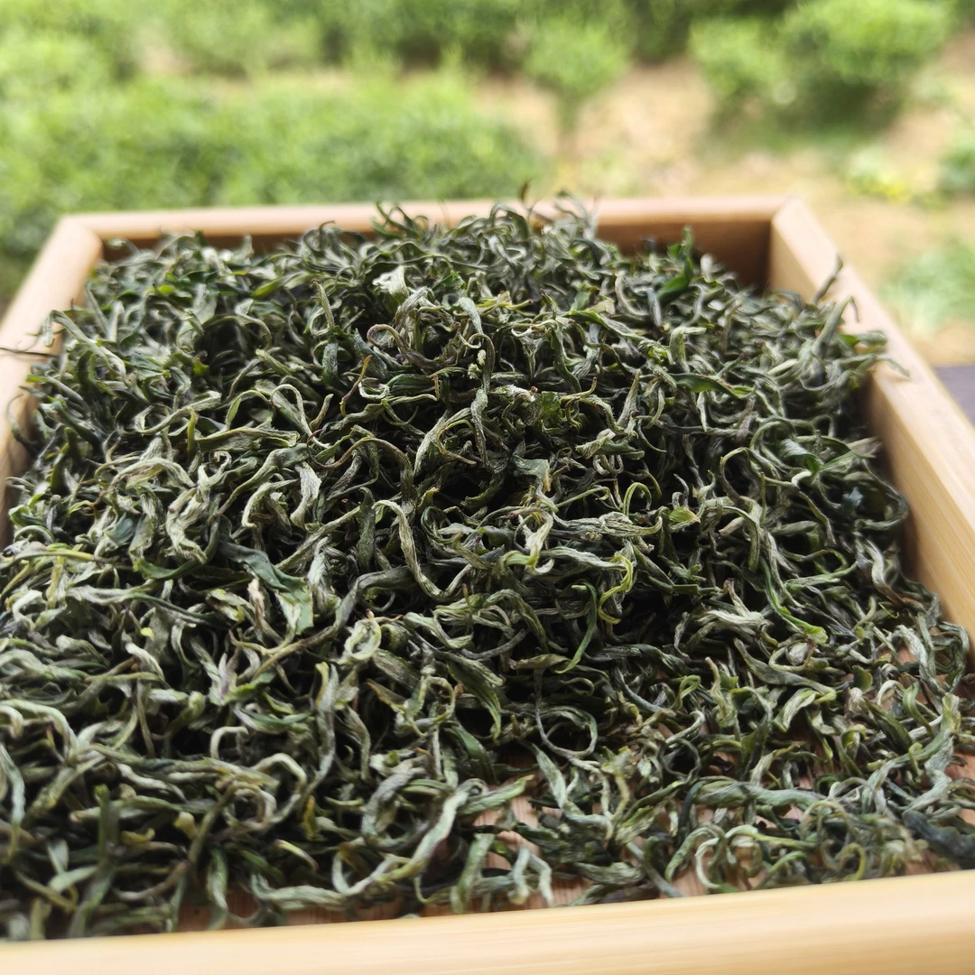 2025年湘西黄金茶明前茶二级茶筛出来的苗疆茶