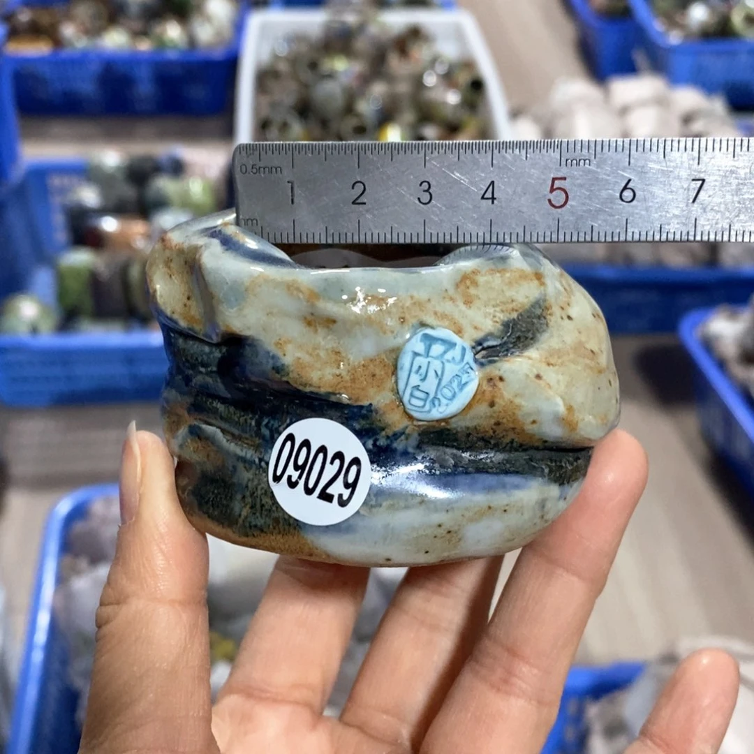 花盆拍3送一个小礼物