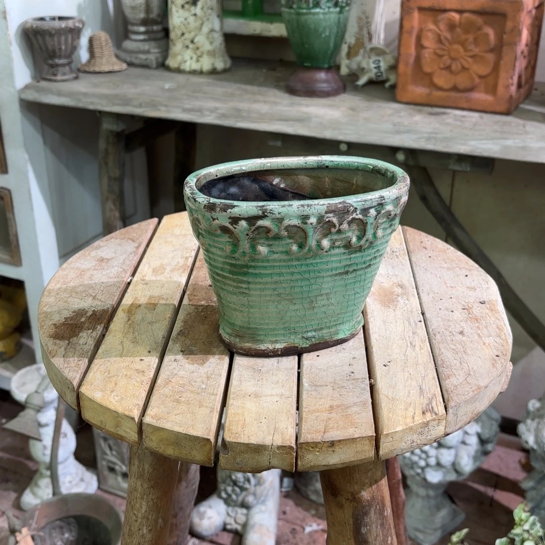 许纯的花房 椭圆绿色 福利