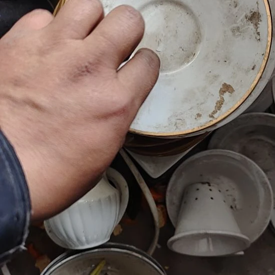 瓷发两个金边碟子，口径15