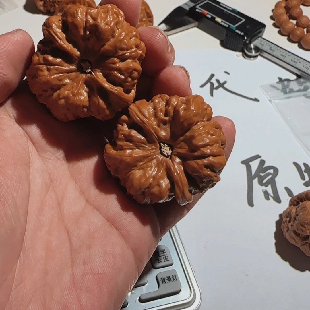 ****易菩提籽类闪购7，昌平蛤蟆头