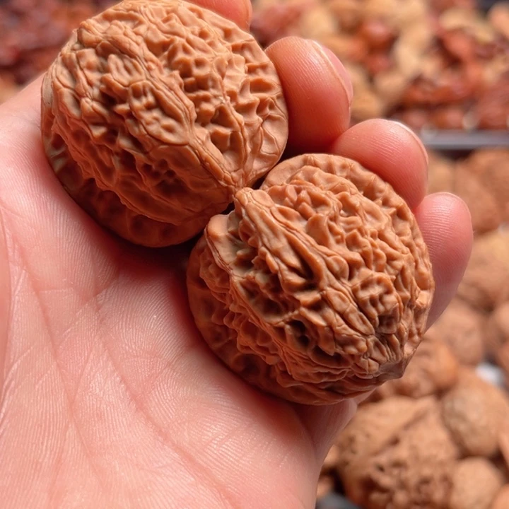 文玩核桃把件独家野生玉圭树头