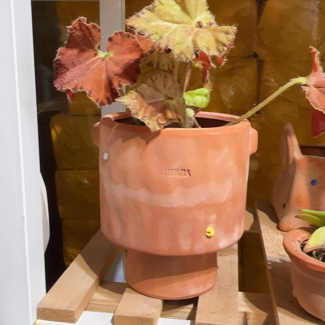 红陶11×13花盆一个