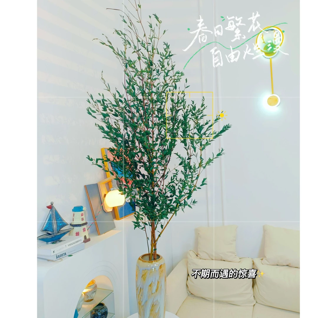 2米富贵款 细叶-尤加利叶 春天小清新周期鲜花_懒人家居