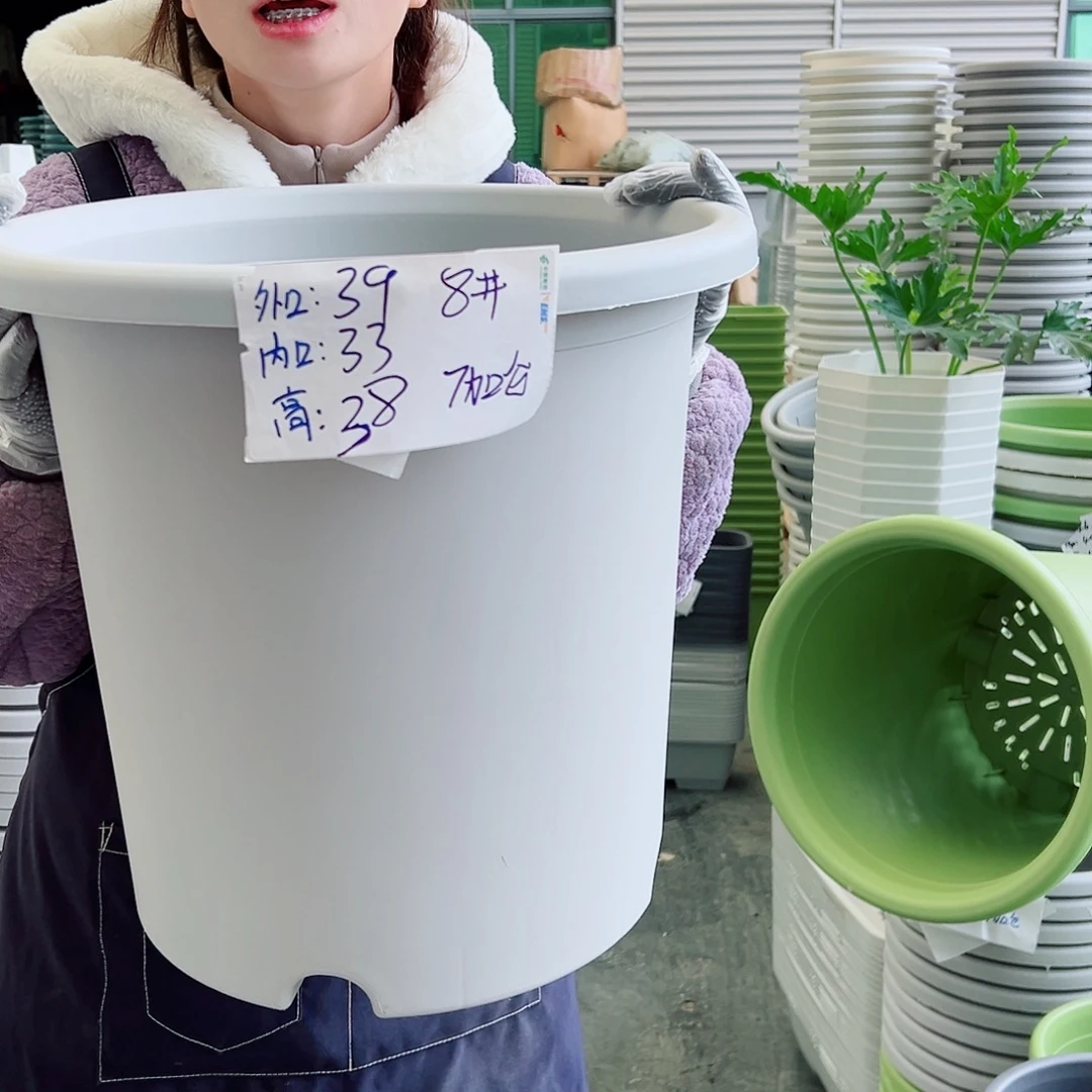 四季盆8#灰白5个无托