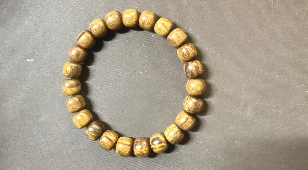 巴布亚贡木老型单圈