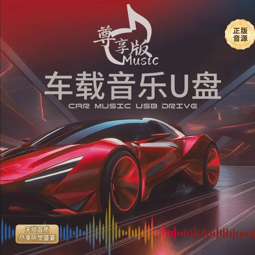 音乐优盘用于车载音响户外蓝牙音响MP3无损音质